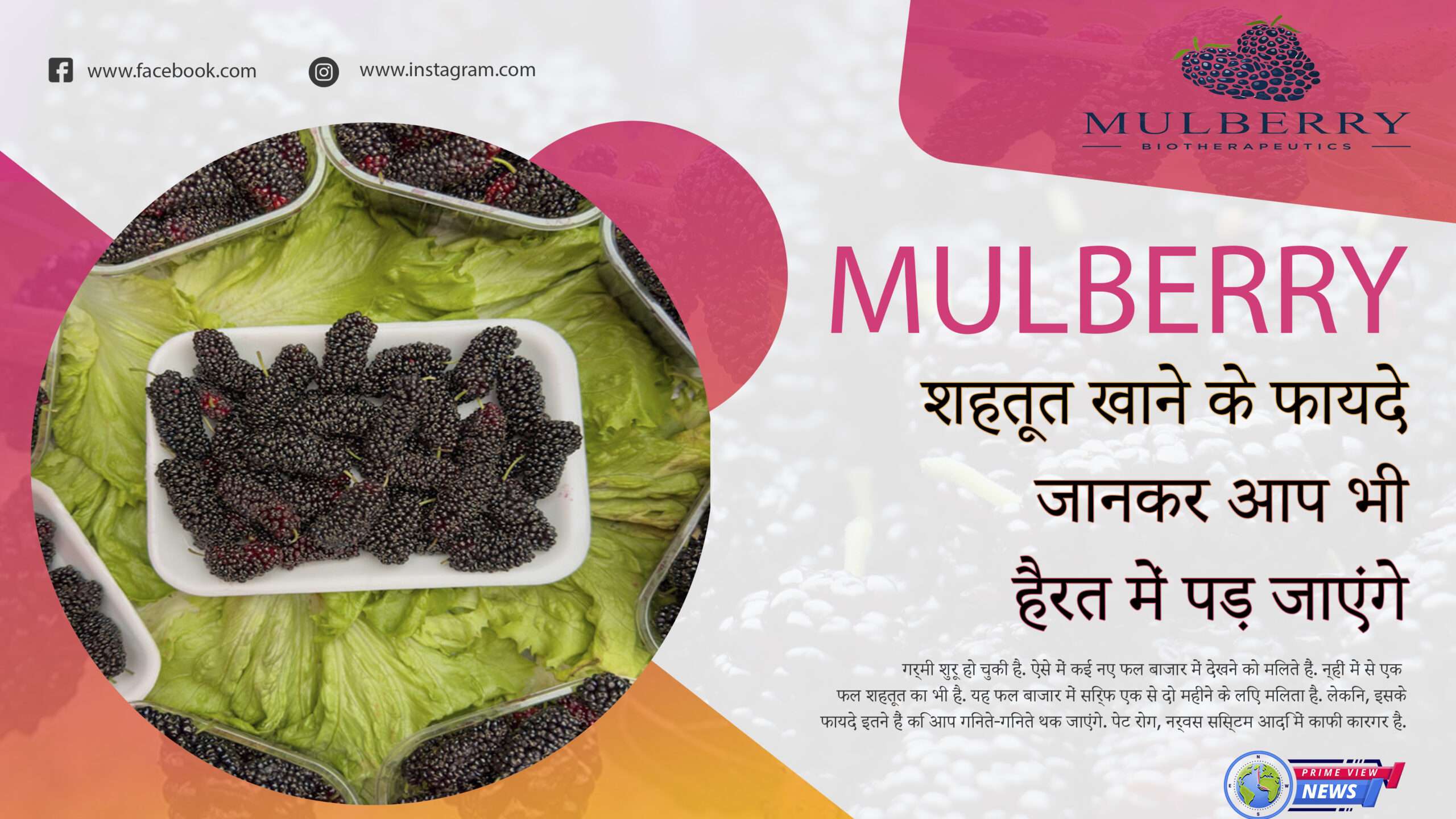 MULBERRY: